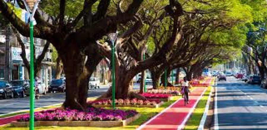 Empresa de Telêmaco Borba vence licitação para construção de ciclovia na Avenida Tuiuti