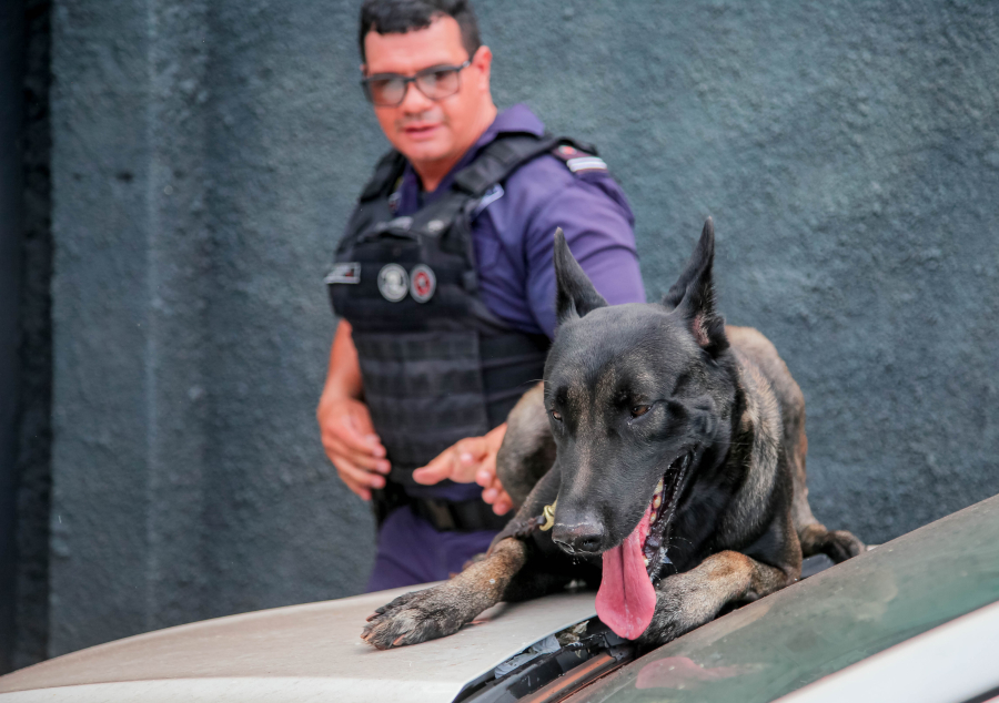 Canil da Guarda Civil ganha reforço com chegada de novo cão