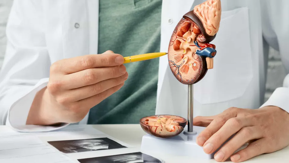 Doença renal crônica: conheça cinco sinais de alerta para diagnóstico precoce