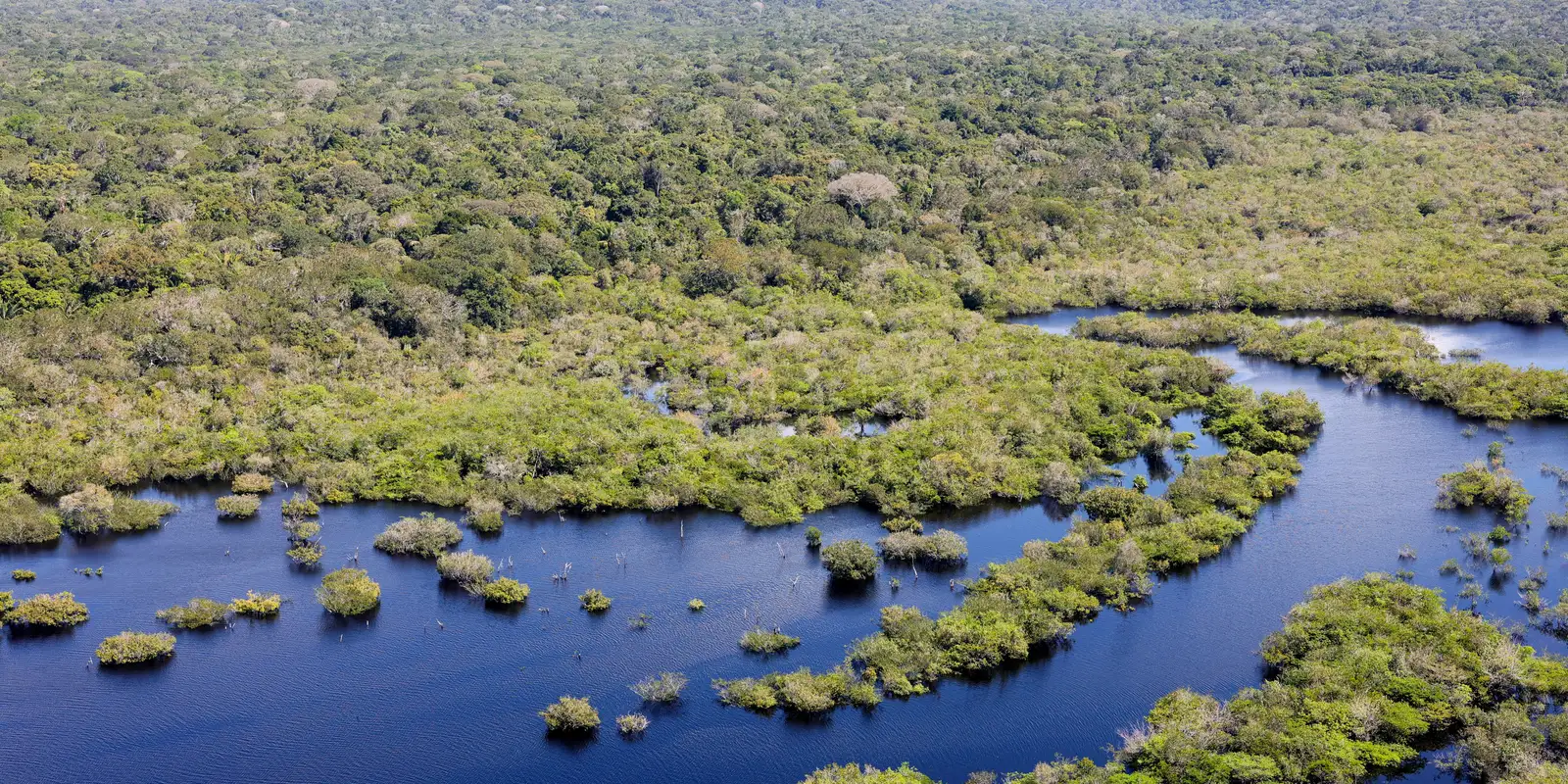 Desmatamento no Brasil caiu 32,4% em 2024